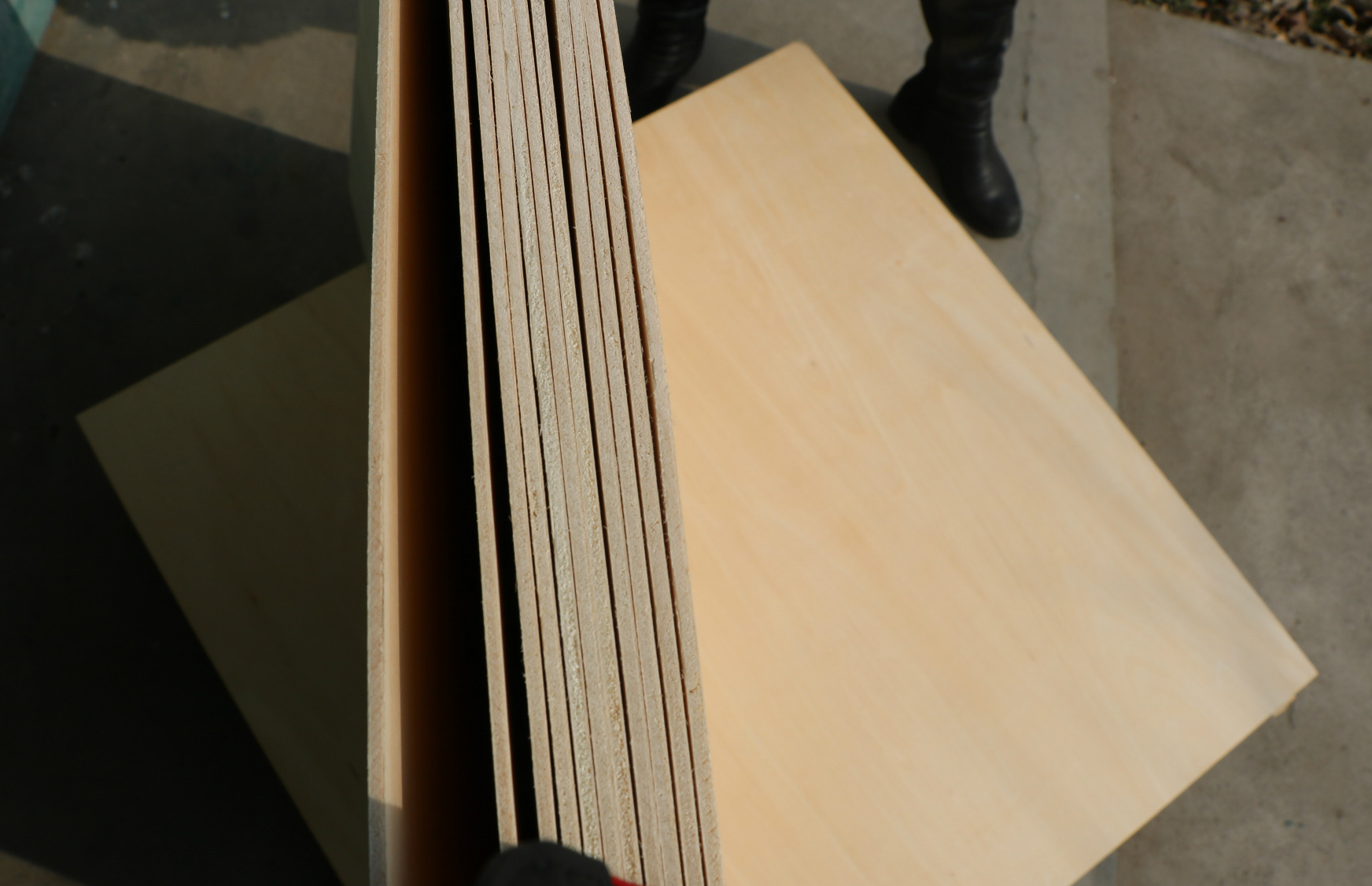 Basen plywood