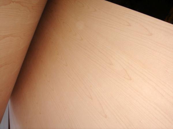 beech veneer natural plywood boards