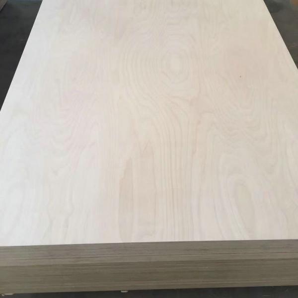 All birch multilayer plywood