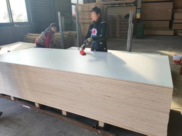 1220*3660*18mm hpl plywood