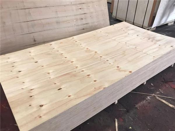 Packing Grade Pine Knotty Plywood