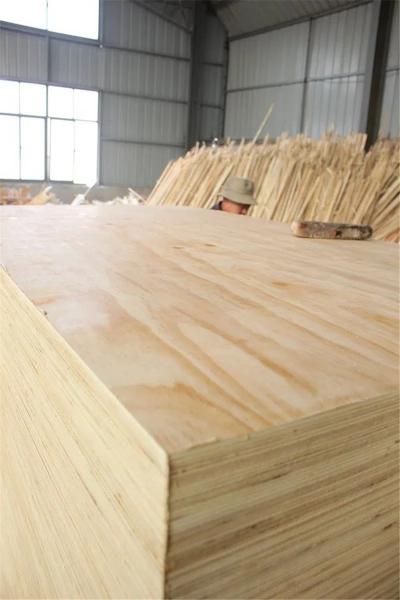 Cabinet Grade Yellow Pine Plywood Panel