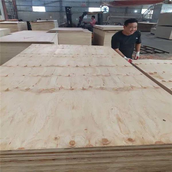 CDX Pine Plywood for Roofing