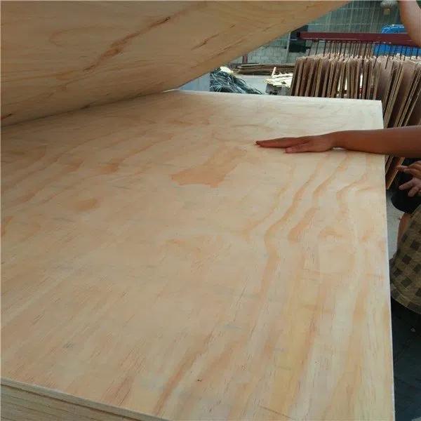 Pine Face Plywood for Furniture