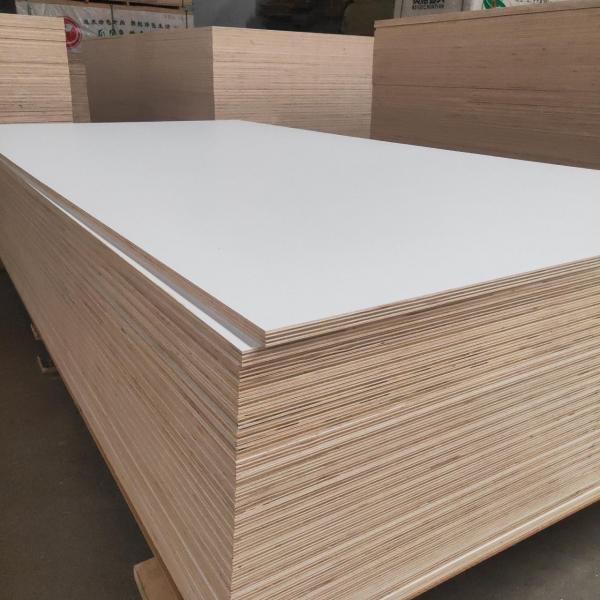 Melamine Board For furniture From China Good price and quality