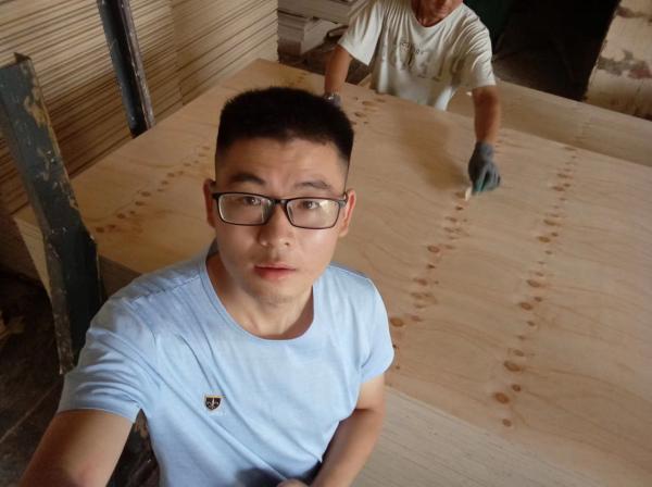 CDX pine plywood
