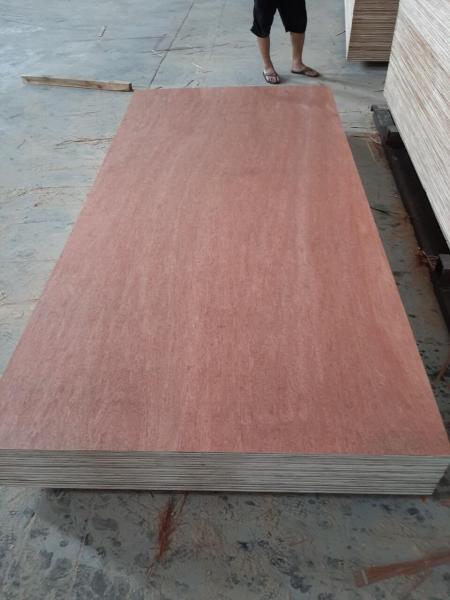 Red Bintangor Plywood Furniture grade and Packing Industry