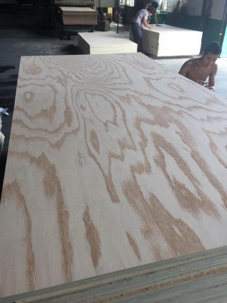 larch plywood