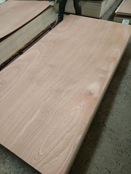 Sapele plywood manufacturer