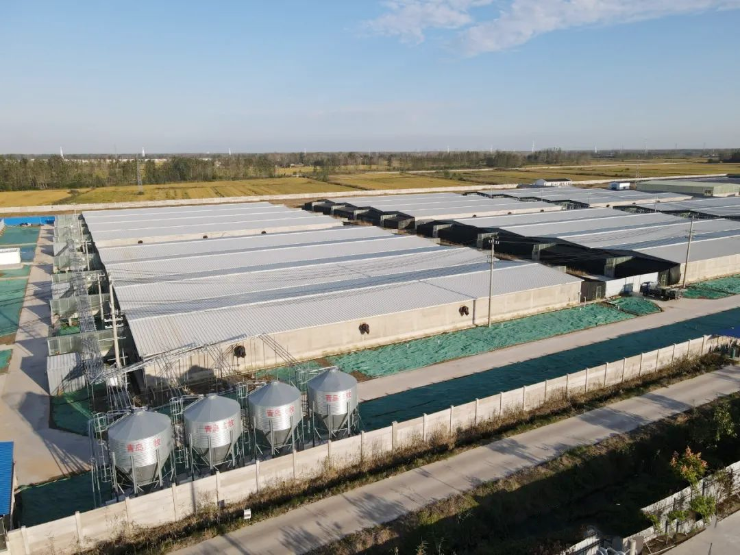 圖片13.png 圖片13.png