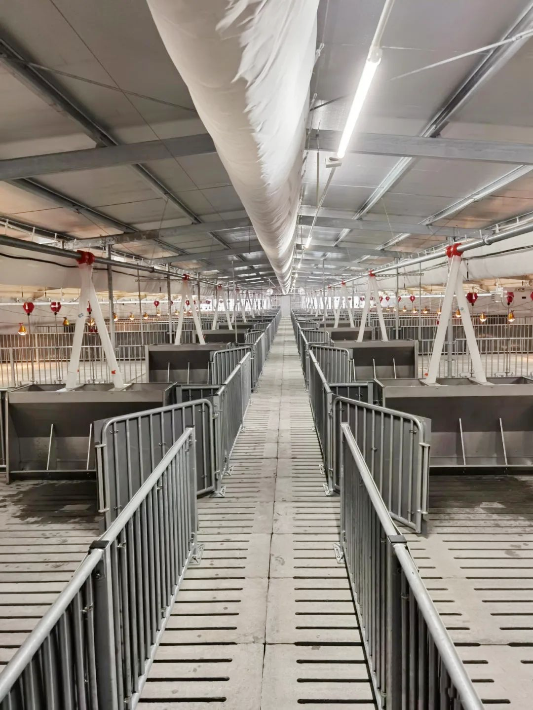 圖片16.png 圖片16.png